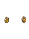 The "Aura" Baltic Amber Oval Stud Earrings